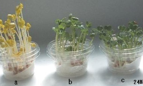 刷完酸可以洗澡吗-【刷完酸能化妆吗】刷完酸可以洗澡吗 - 刷完酸期间可以化妆吗网